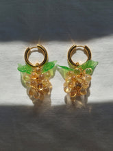 Load image into Gallery viewer, Gold Hoop earrings with glass grape charm in champaign colour.